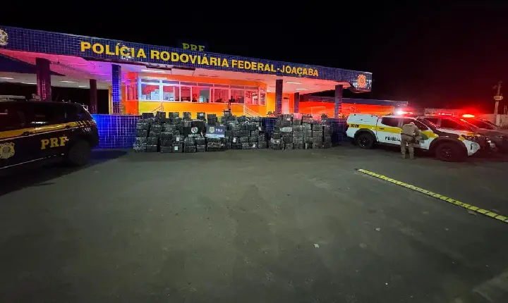 Ação conjunta PRF e PM SC realiza maior apreensão de maconha do ano em SC.