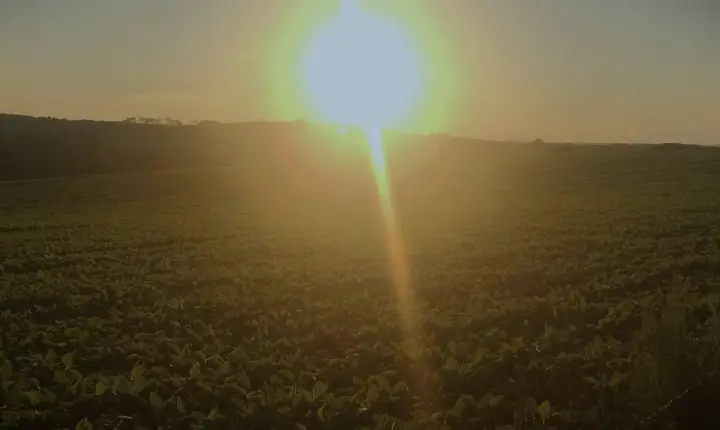 Campos Novos integra a força do 5º maior agronegócio do Brasil