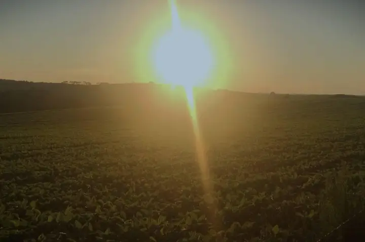 Campos Novos integra a força do 5º maior agronegócio do Brasil