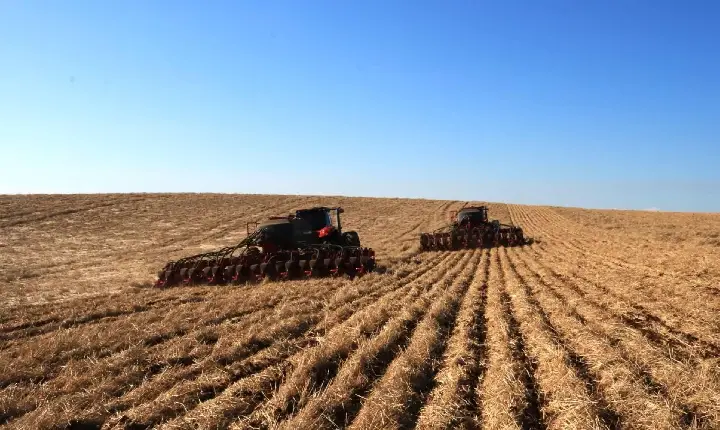 Campos Novos lidera ranking estadual em área de soja