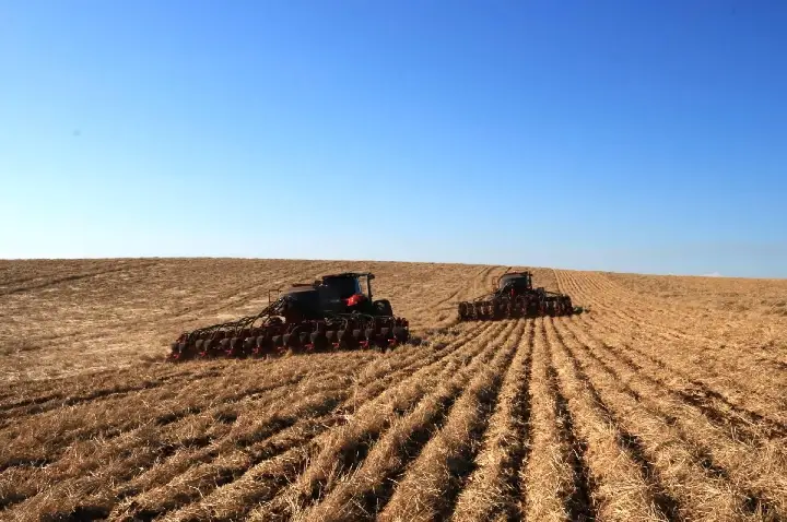Campos Novos lidera ranking estadual em área de soja