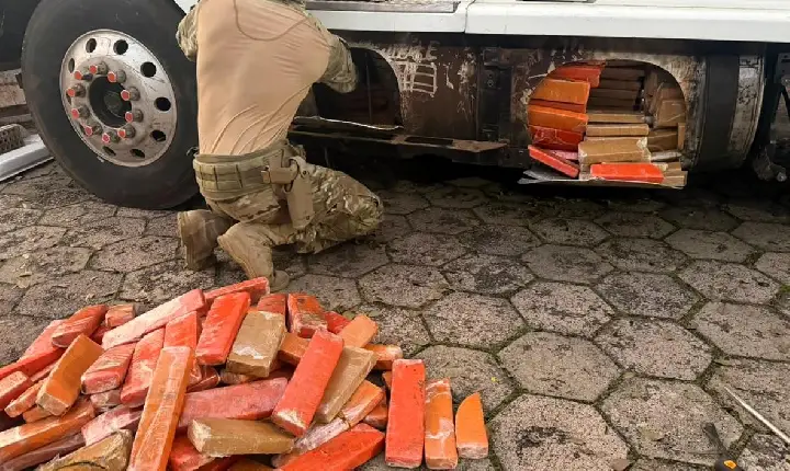 Cão farejador da PRF descobre mais de meia tonelada de maconha escondidos em carreta