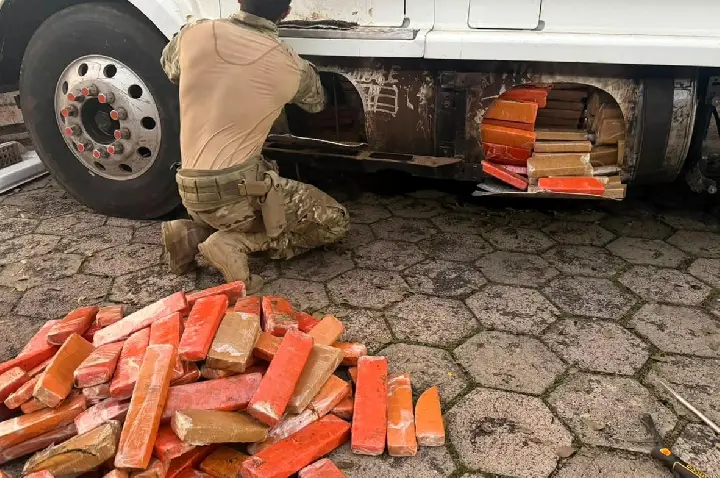 Cão farejador da PRF descobre mais de meia tonelada de maconha escondidos em carreta