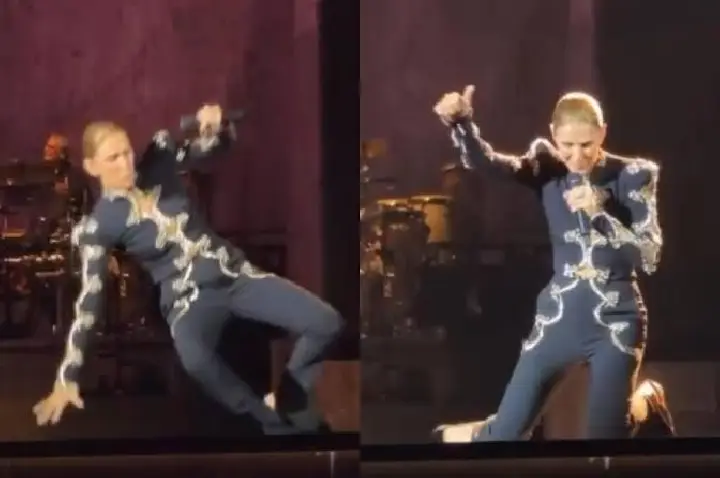 Céline Dion leva tombo durante show e reage com bom humor