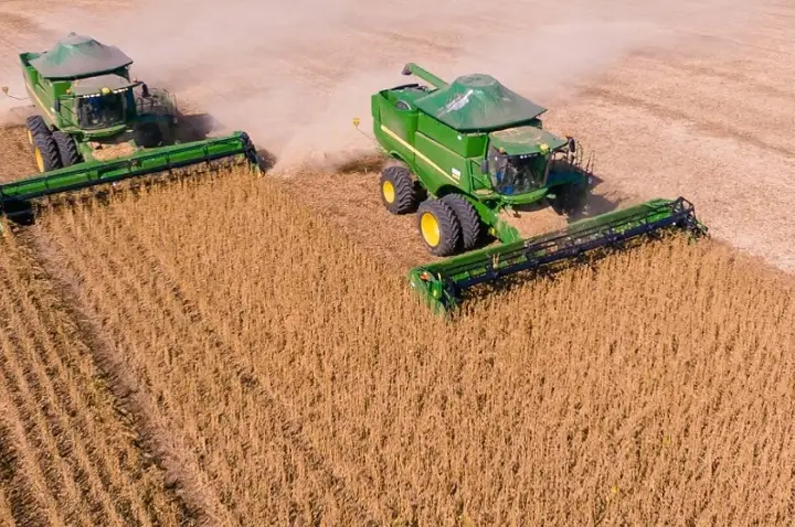 Coocam atinge 90% da colheita da soja com resultados positivos