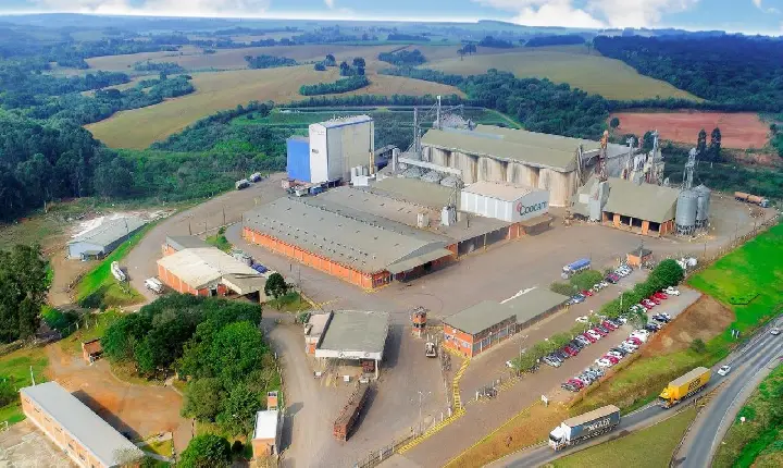 Coocam celebra 33 anos fortalecendo o cooperativismo e o produtor rural