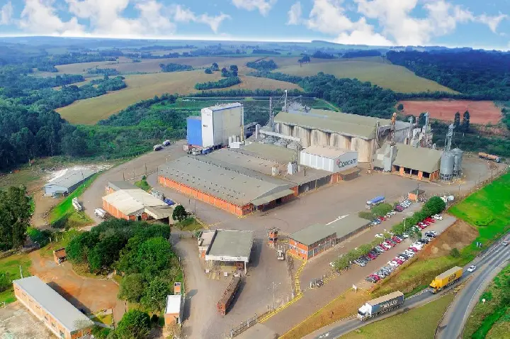 Coocam celebra 33 anos fortalecendo o cooperativismo e o produtor rural
