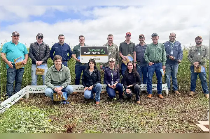 Copercampos e Nufarm promovem Tour Carinata em Campos Novos