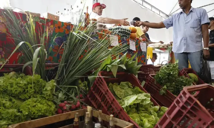 Decreto adia exigência de CNPJ para autônomos e produtores rurais