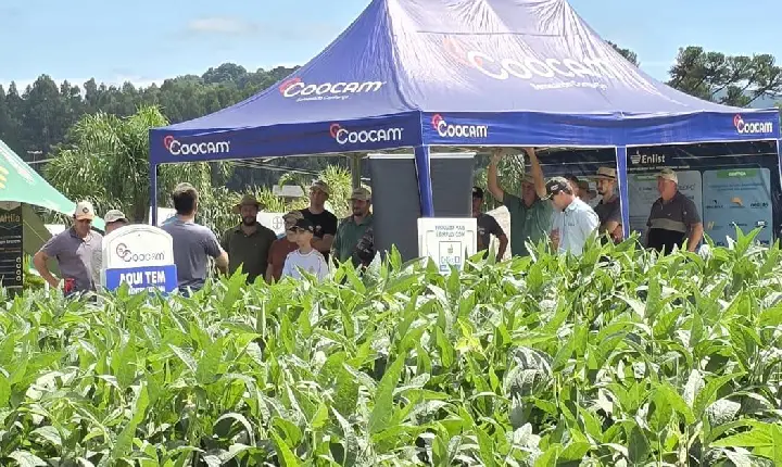 Dias de Campo 2026 reforçam tecnologia e manejo no campo