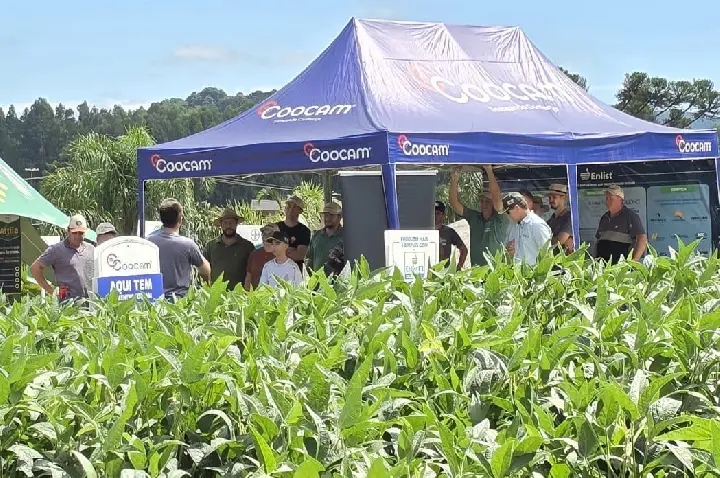 Dias de Campo 2026 reforçam tecnologia e manejo no campo