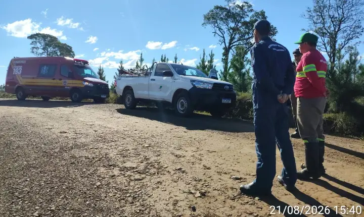Enxame de abelhas ataca seis trabalhadores durante serviço em Monte Carlo