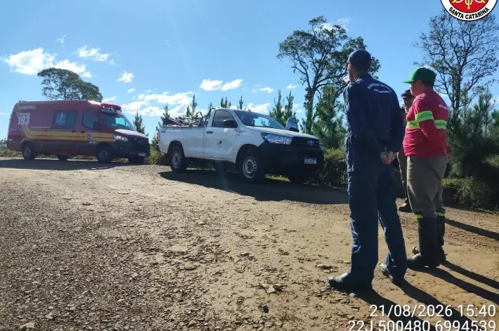 Enxame de abelhas ataca seis trabalhadores durante serviço em Monte Carlo