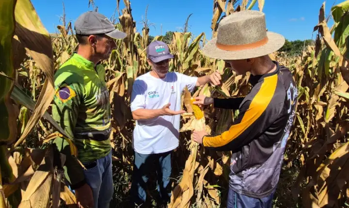 Epagri e Sicoob realizam segunda fase do Giro da Safra do milho em Campos Novos