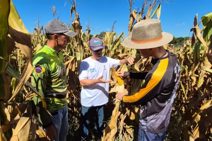 Epagri e Sicoob realizam segunda fase do Giro da Safra do milho em Campos Novos