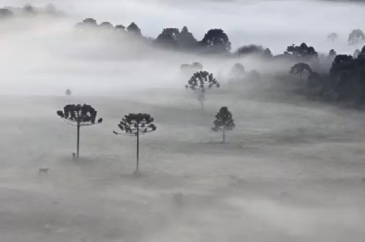 Frio ganha força no Oeste de SC a partir desta semana.