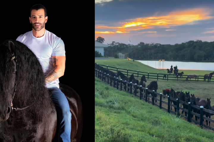 Gusttavo Lima vai a leilão e se diverte: “Saí de casa para tomar cachaça e comprei dois cavalos”.