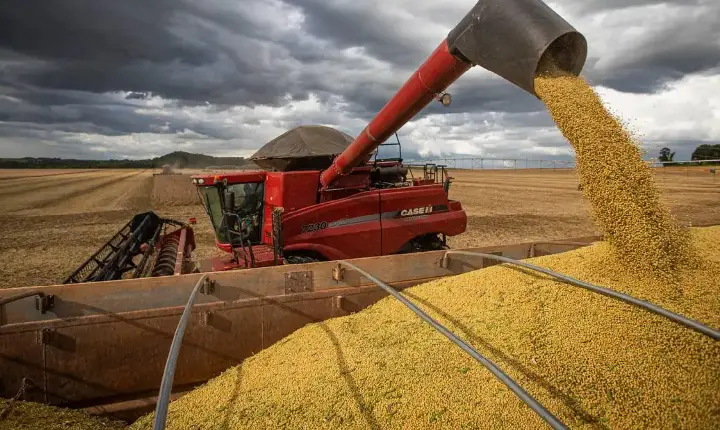 IBGE prevê safra recorde de 346 milhões de toneladas em 2025