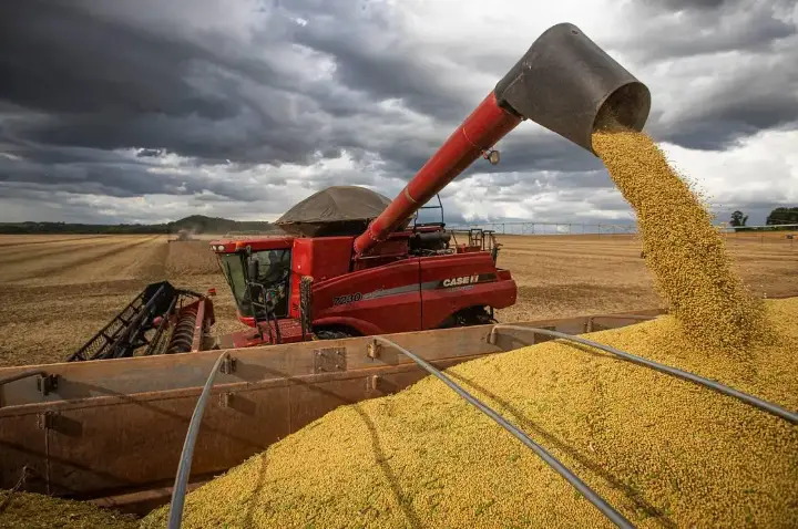 IBGE prevê safra recorde de 346 milhões de toneladas em 2025