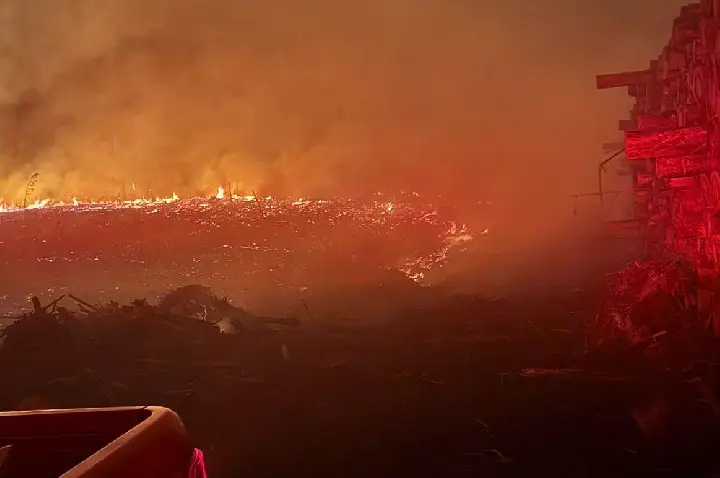 Incêndio em reflorestamento de eucalipto mobiliza guarnição de resgate em Vargem.