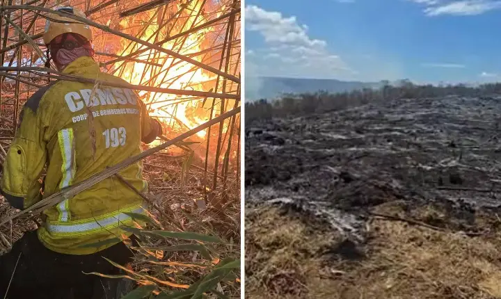 Incêndio em vegetação atinge cerca de 50 hectares no interior de Campos Novos