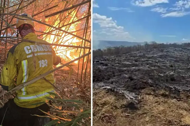 Incêndio em vegetação atinge cerca de 50 hectares no interior de Campos Novos