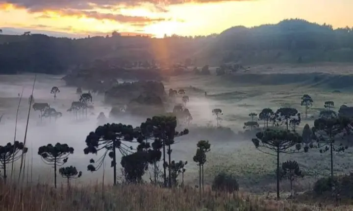 Massa de ar frio derruba temperaturas na Serra catarinense e mantém tempo firme até quinta-feira (18)