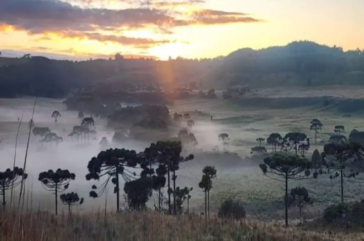 Massa de ar frio derruba temperaturas na Serra catarinense e mantém tempo firme até quinta-feira (18)