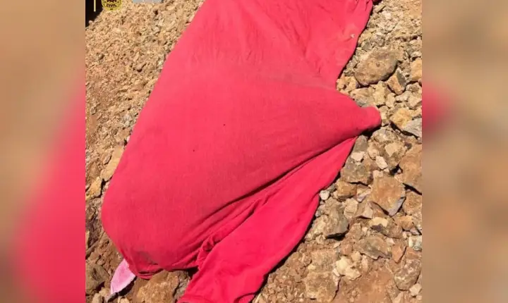 Polícia Civil conclui investigação sobre morte de cão vítima de maus-tratos em Campos Novos