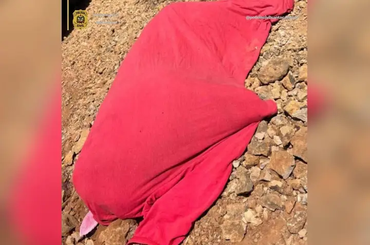 Polícia Civil conclui investigação sobre morte de cão vítima de maus-tratos em Campos Novos