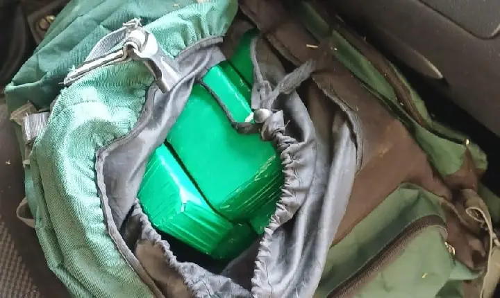 Polícia encontra mais de 22 kg de drogas em carro com licenciamento vencido na BR-282
