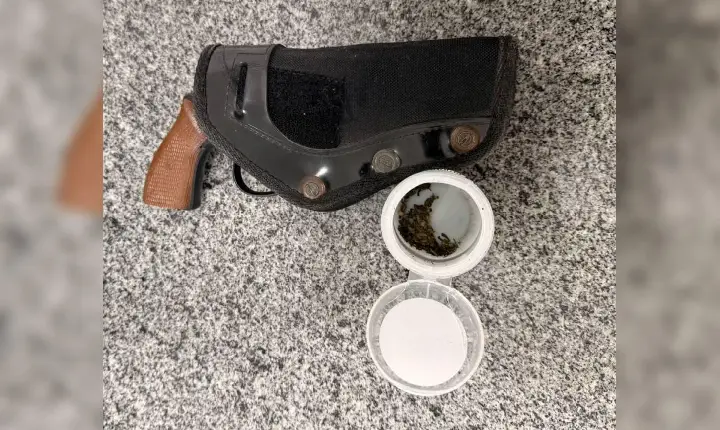 Polícia Militar prende homem por violência doméstica e apreende drogas e simulacro de arma em Campos Novos