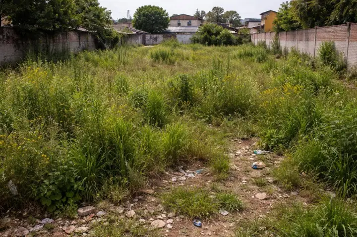 Prefeitura alerta proprietários sobre responsabilidade na manutenção de lotes