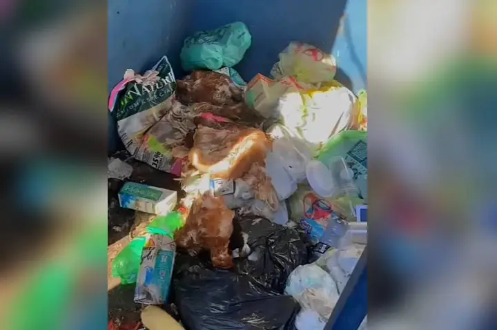 Prefeitura de Campos Novos identifica descarte irregular de aves em Eco Pontos do Água Pé