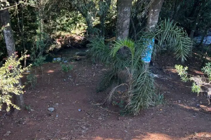 Prefeitura de Campos Novos retira barracas improvisadas às margens da BR-282 e realoca pessoas em situação de rua.