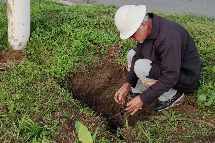 Prefeitura realiza reparos após furto de cabos na rede de iluminação pública