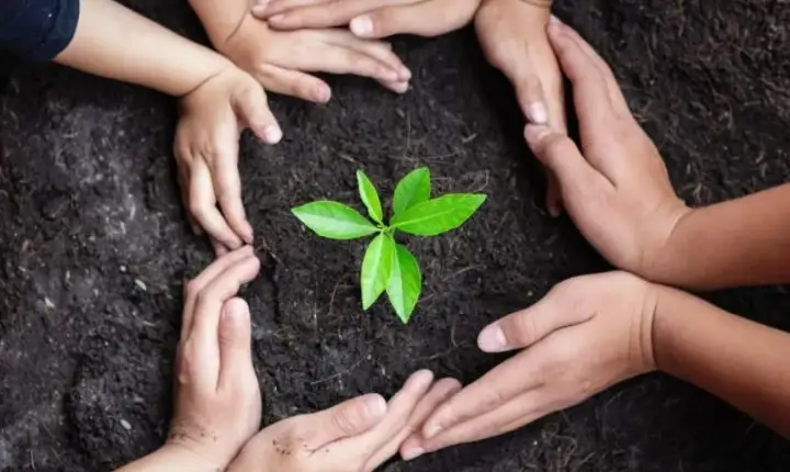 Projeto de lei propõe incluir cooperativismo no currículo das escolas públicas em SC