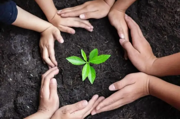 Projeto de lei propõe incluir cooperativismo no currículo das escolas públicas em SC
