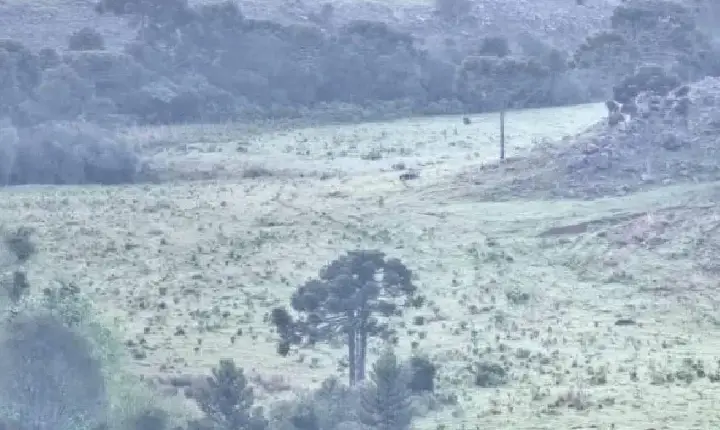 Região mais fria do Brasil amanhece com -2°C e paisagens congeladas em plena primavera