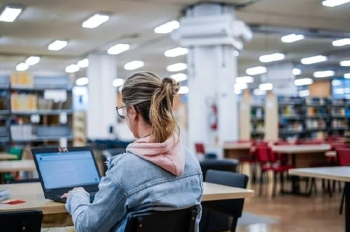 TCE aponta indícios de fraude em mais de 18 mil bolsas do Universidade Gratuita.