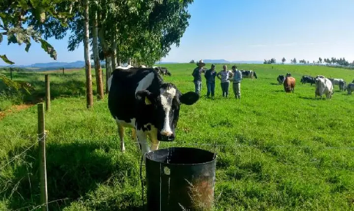 Última semana para agricultores e pescadores apresentarem projetos com apoio financeiro do SC Rural 2
