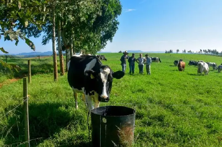 Última semana para agricultores e pescadores apresentarem projetos com apoio financeiro do SC Rural 2