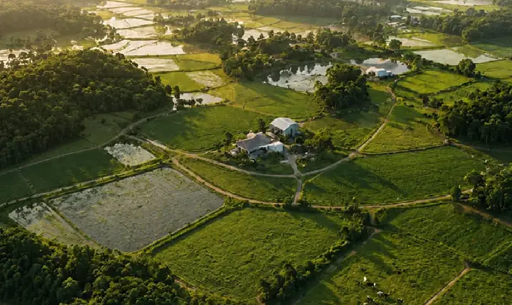 Valor da Produção Agropecuária catarinense bate novo recorde com aumento de 15,8% e alcança R$ 75,1 bilhões