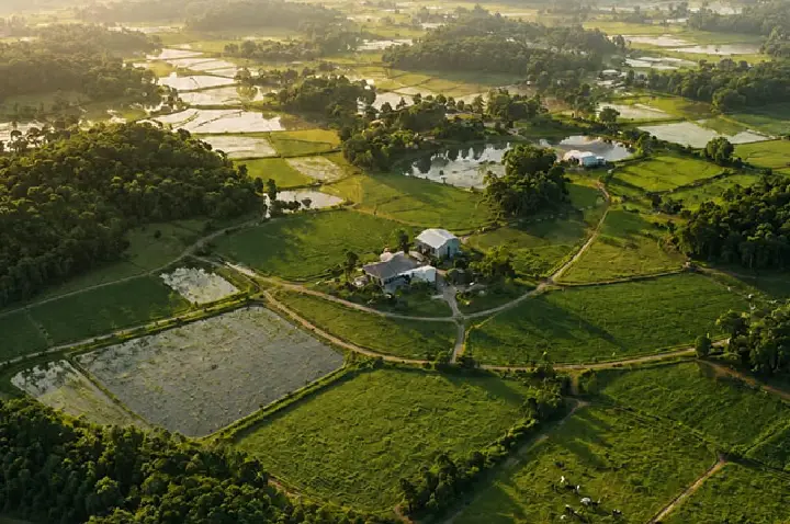 Valor da Produção Agropecuária catarinense bate novo recorde com aumento de 15,8% e alcança R$ 75,1 bilhões