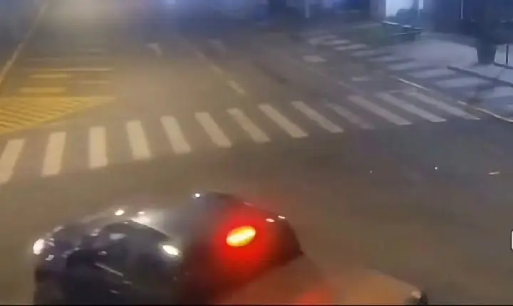 Veículo da Prefeitura de Campos Novos foi usado para transportar cães comunitários posteriormente abandonados, aponta Polícia Civil