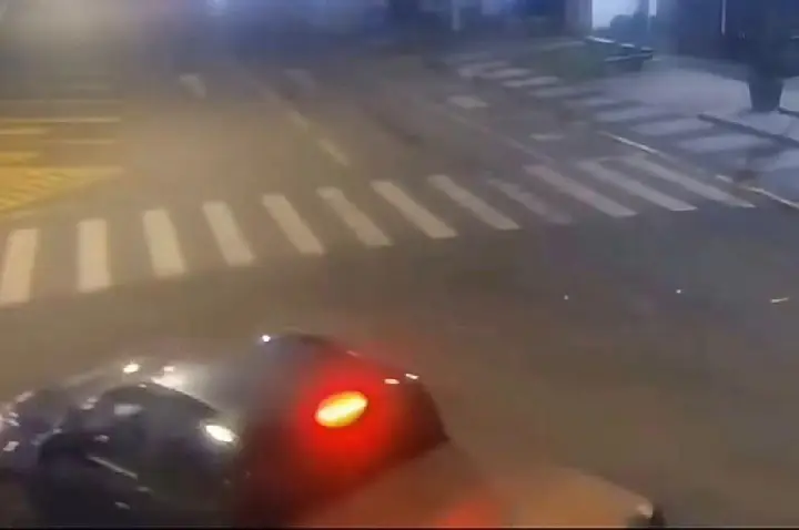 Veículo da Prefeitura de Campos Novos foi usado para transportar cães comunitários posteriormente abandonados, aponta Polícia Civil