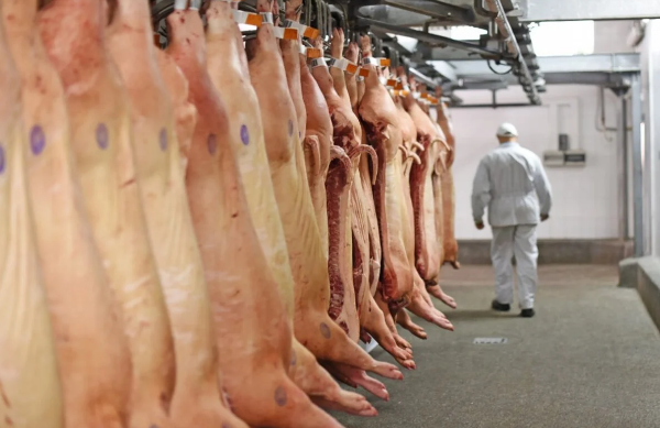 Câmara aprova contrato de veterinários para inspeção federal no frigorífico da BRF em Campos Novos.