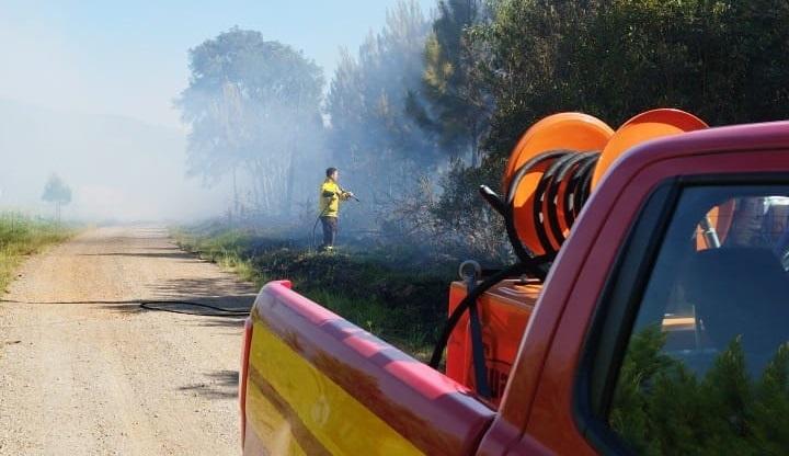 Incêndio em Reflorestamento de Pinus Mobiliza Bombeiros em Campos Novos.