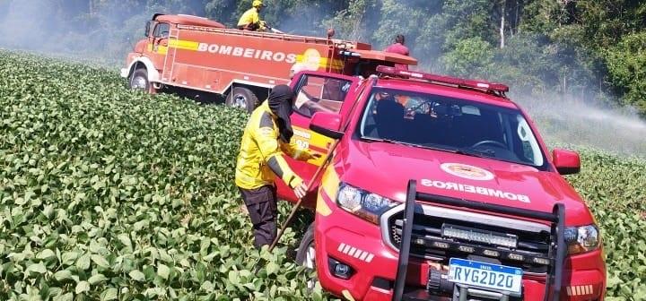 Incêndio em vegetação atinge plantação de soja em Campos Novos.