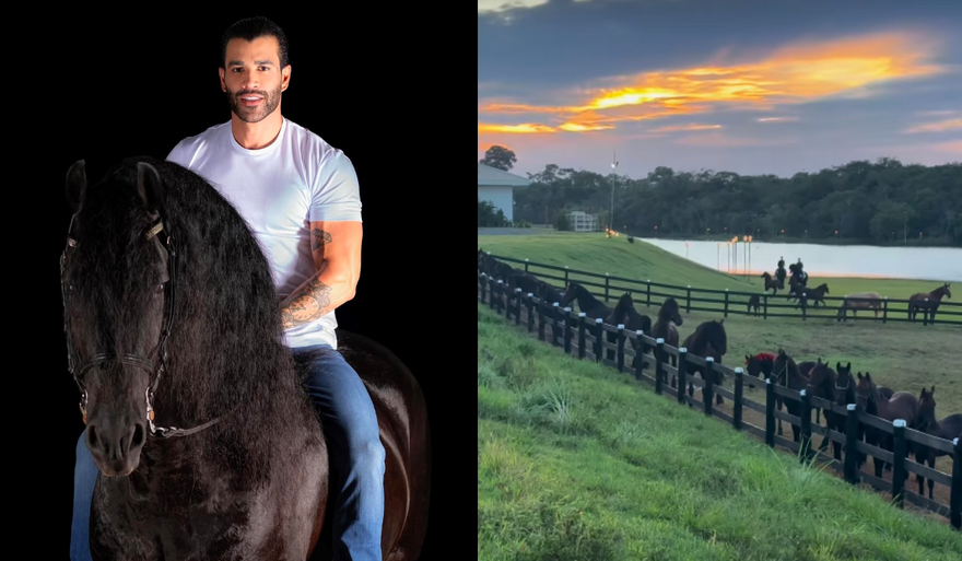 Gusttavo Lima vai a leilão e se diverte: “Saí de casa para tomar cachaça e comprei dois cavalos”.